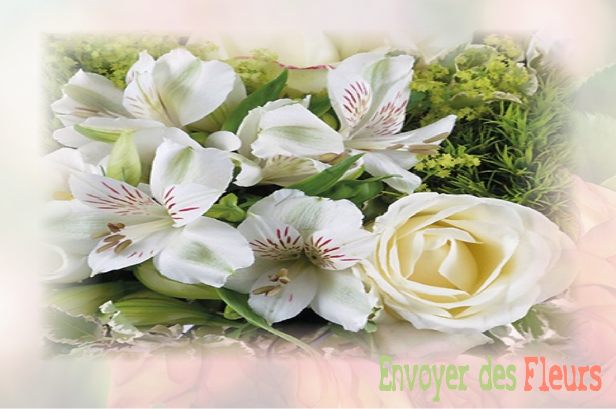 envoyer des fleurs à à BRUYERES-ET-MONTBERAULT